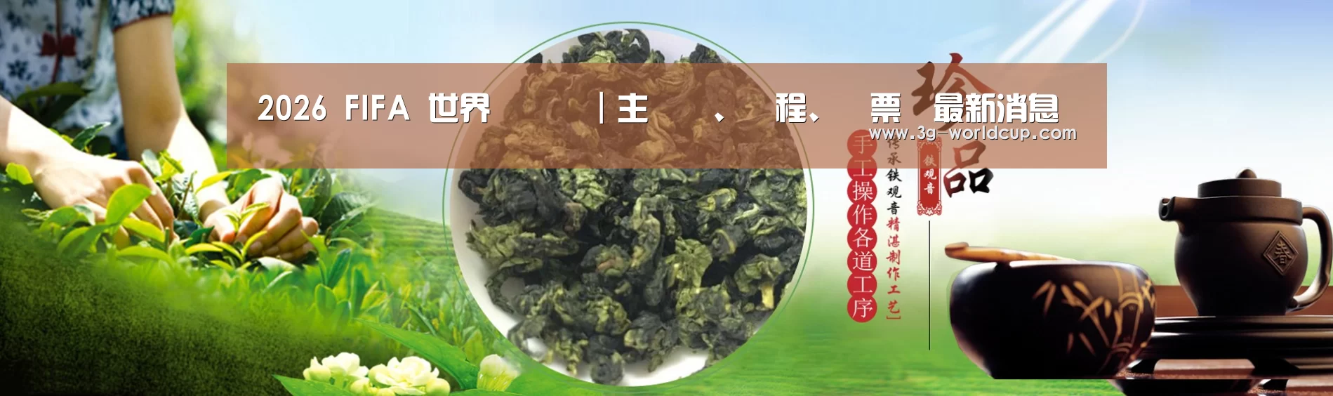 易优Cms-演示站