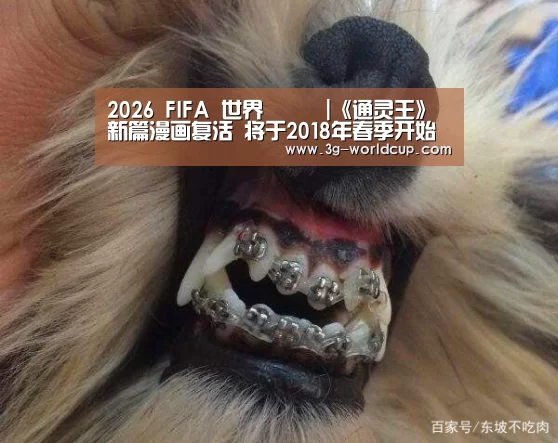 2026 FIFA 世界盃資訊|《通灵王》新篇漫画复活 将于2018年春季开始连载(图2) 2026世界盃最新消息