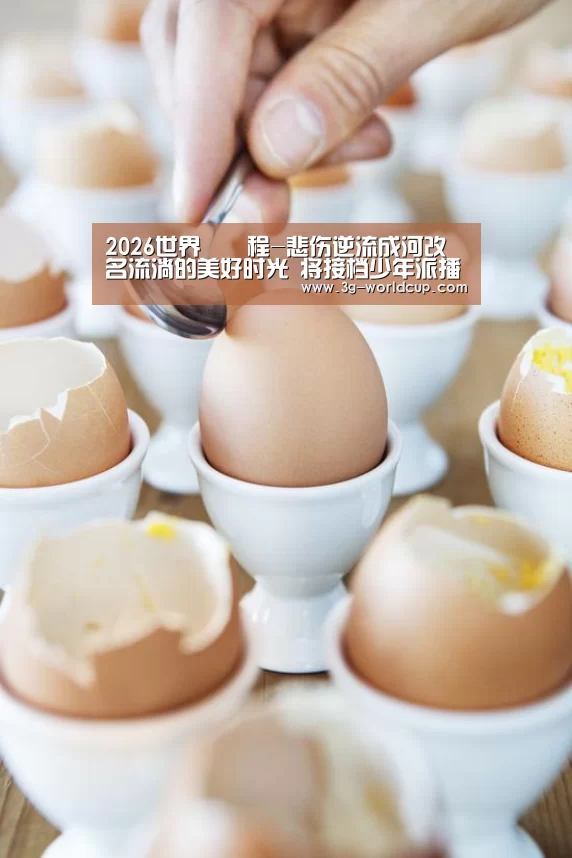 2026 FIFA 世界盃資訊